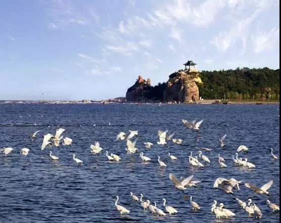 九月去沈阳好玩吗