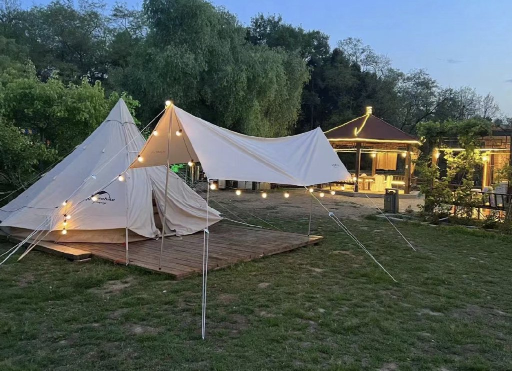 ����ȥ����������