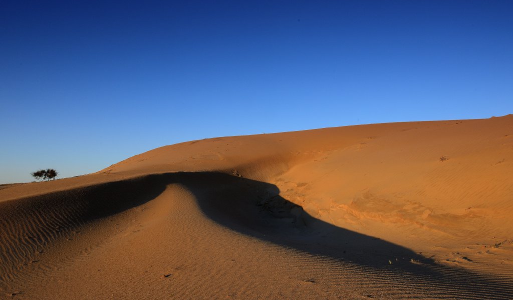 ����ȥ����������