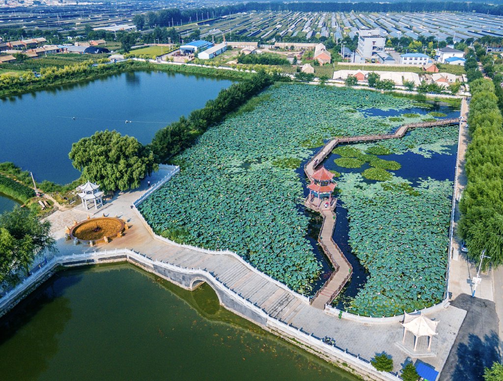 ����ȥ����������