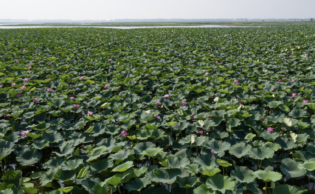 ����ȥ����������